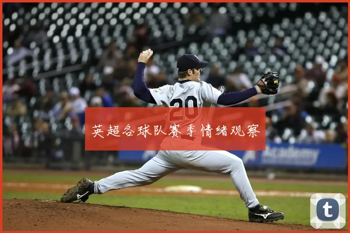 英超各球队赛季情绪观察