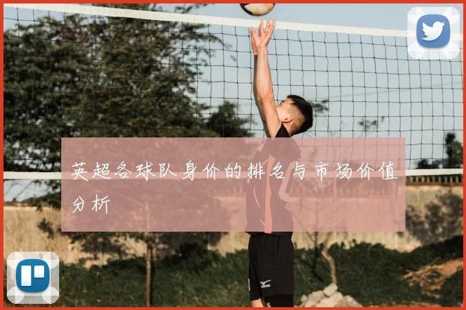 英超各球队身价的排名与市场价值分析