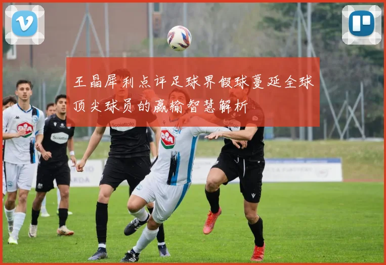 王晶犀利点评足球界假球蔓延全球顶尖球员的赢输智慧解析
